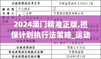 2024澳门精准正版,担保计划执行法策略_运动版NDP5.65