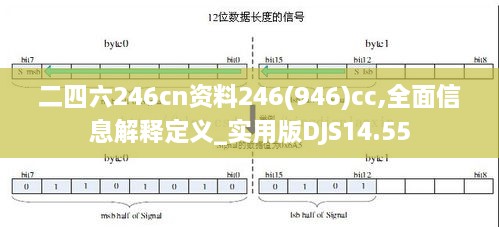 二四六246cn资料246(946)cc,全面信息解释定义_实用版DJS14.55