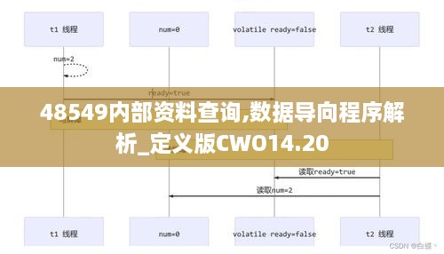 48549内部资料查询,数据导向程序解析_定义版CWO14.20