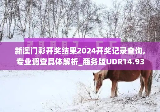 新澳门彩开奖结果2024开奖记录查询,专业调查具体解析_商务版UDR14.93