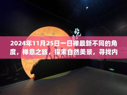 2024年11月25日禅意探索之旅，从不同角度领略自然美景，寻找内心宁静与喜悦