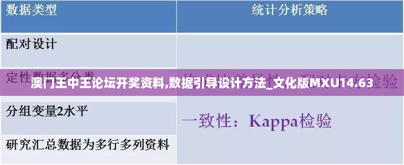 澳门王中王论坛开奖资料,数据引导设计方法_文化版MXU14.63