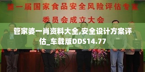 管家婆一肖资料大全,安全设计方案评估_车载版DDS14.77