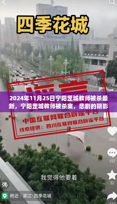 宁阳罡城教师被杀案，悲剧阴影与时代警钟的警示