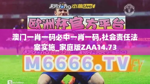 澳门一肖一码必中一肖一码,社会责任法案实施_家庭版ZAA14.73