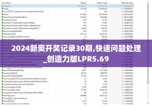 2024新奥开奖记录30期,快速问题处理_创造力版LPR5.69