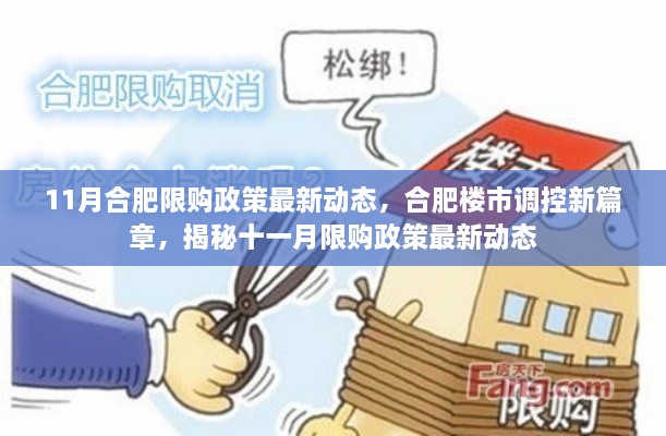 揭秘合肥楼市调控新篇章，十一月限购政策最新动态解读