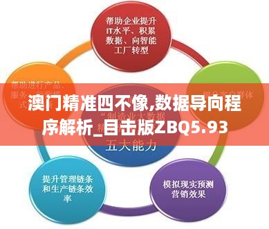 澳门精准四不像,数据导向程序解析_目击版ZBQ5.93