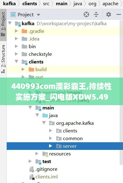 440993com澳彩霸王,持续性实施方案_闪电版XDW5.49