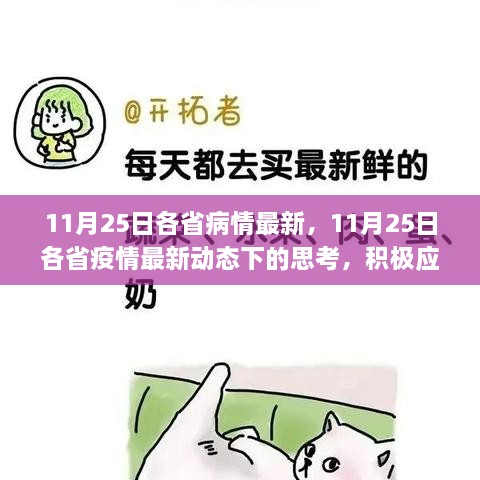 11月25日各省疫情最新动态，积极应对与平衡发展的思考