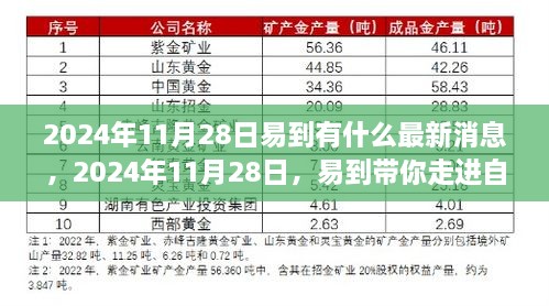 2024年11月28日易到带你走进自然秘境，探寻最新消息与内心桃花源