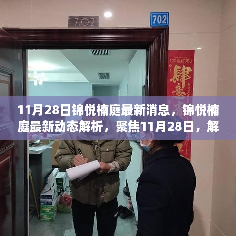 锦悦楠庭最新动态解析，聚焦11月28日各方观点与个人立场一览