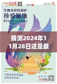 2024年最新锻炼方法深度解析与预测，全方位评测揭秘