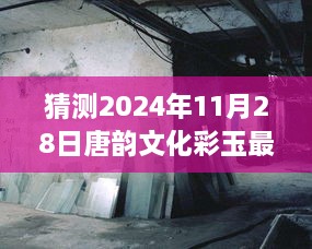 探秘唐韵文化彩玉宝藏，最新图片预览，揭秘小巷深处的宝藏（2024年11月28日）