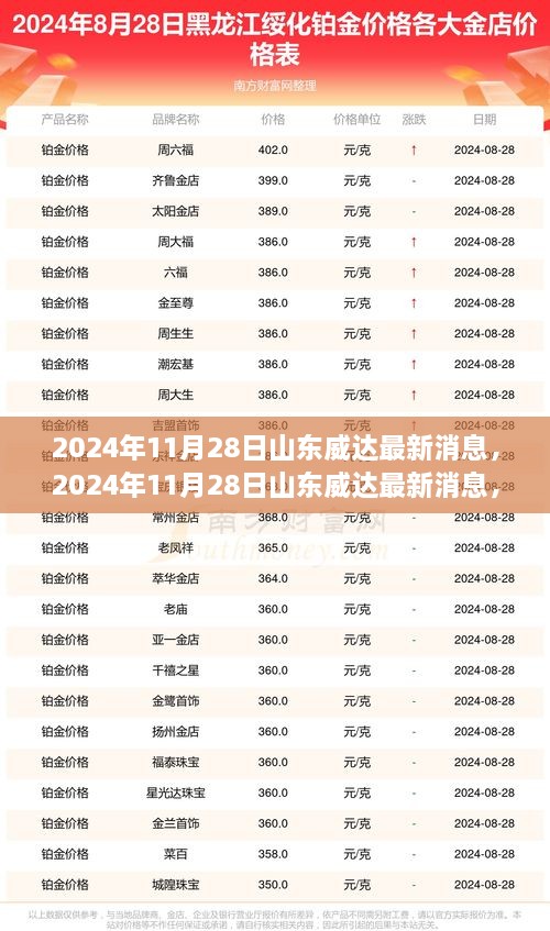 揭秘山东威达集团的发展与未来展望，最新消息及展望（2024年11月28日）