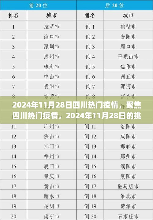 2024年11月28日四川疫情聚焦，挑战与应对措施