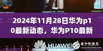 华为P10最新动态深度解析，特性、体验与目标用户群体分析（2024年11月28日）