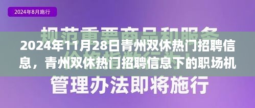 青州双休热门招聘信息下的职场机遇与挑战解析（2024年11月28日）