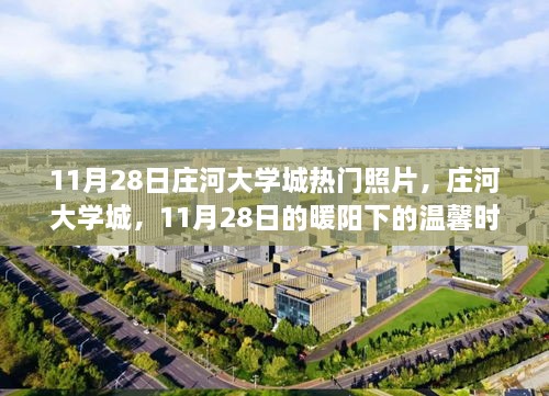 庄河大学城11月28日暖阳下的校园时光照片集锦