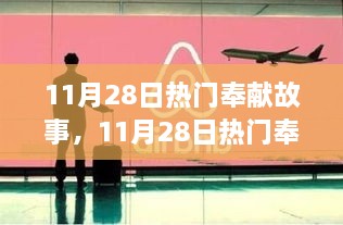 11月28日热门奉献故事，人性光辉与无私精神的深度碰撞