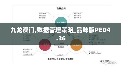 九龙澳门,数据管理策略_品味版PED4.36