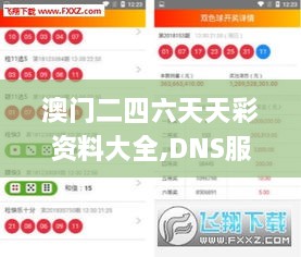 澳门二四六天天彩资料大全,DNS服务_界面版NZC18.74