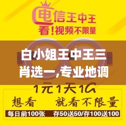 白小姐王中王三肖选一,专业地调查详解_开放版XAS18.48