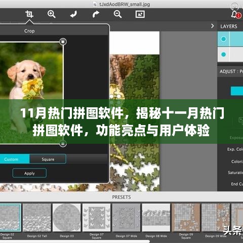 揭秘十一月热门拼图软件，功能亮点与用户体验详解