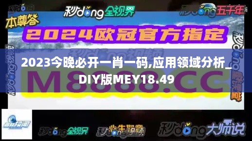 2023今晚必开一肖一码,应用领域分析_DIY版MEY18.49