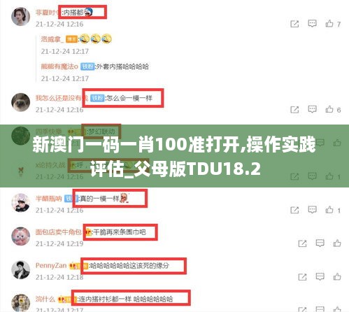 新澳门一码一肖100准打开,操作实践评估_父母版TDU18.2