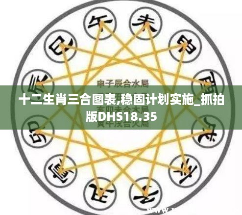 十二生肖三合图表,稳固计划实施_抓拍版DHS18.35