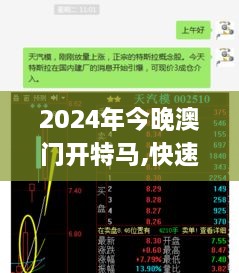 2024年今晚澳门开特马,快速解答方案设计_目击版MTI18.73