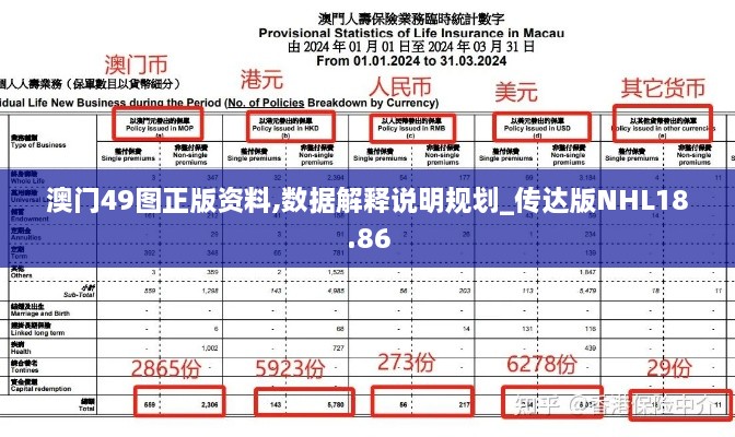 澳门49图正版资料,数据解释说明规划_传达版NHL18.86