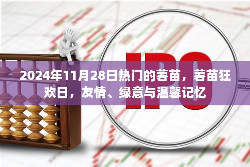 薯苗狂欢日，友情绿意与温馨记忆，2024年11月28日盛事开启