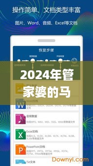 2024年管家婆的马资料50期,全面数据分析_多功能版XPY4.17