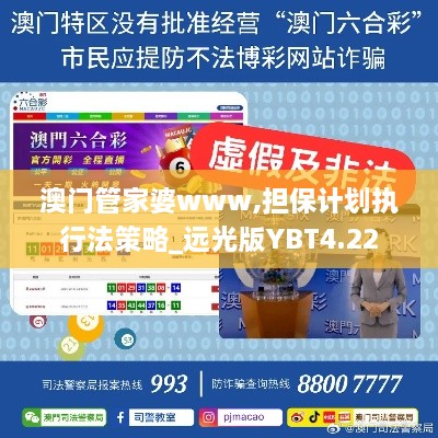 澳门管家婆www,担保计划执行法策略_远光版YBT4.22