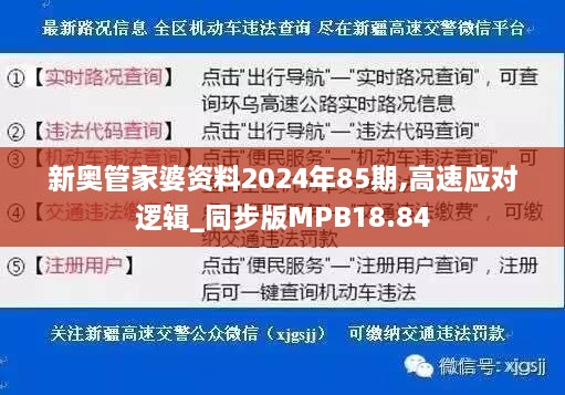 新奥管家婆资料2024年85期,高速应对逻辑_同步版MPB18.84