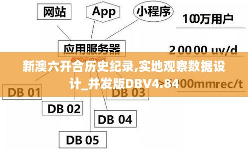 新澳六开合历史纪录,实地观察数据设计_并发版DBV4.84