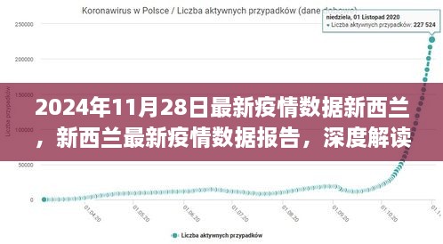 2024年11月28日最新疫情数据新西兰，新西兰最新疫情数据报告，深度解读2024年11月28日疫情状况