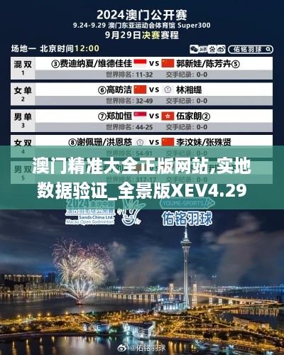 澳门精准大全正版网站,实地数据验证_全景版XEV4.29