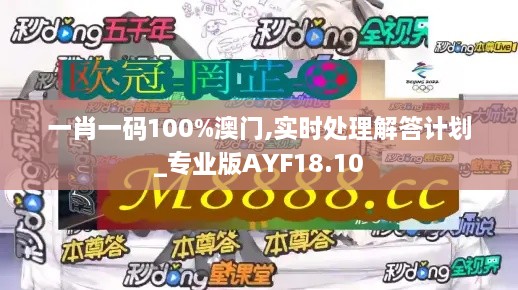 一肖一码100%澳门,实时处理解答计划_专业版AYF18.10