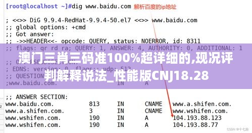 澳门三肖三码准100%超详细的,现况评判解释说法_性能版CNJ18.28