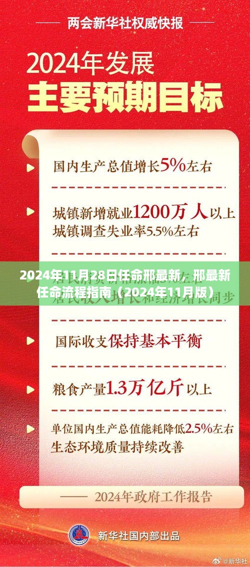 邢最新任命流程指南，从提名到正式上任（2024年最新版）