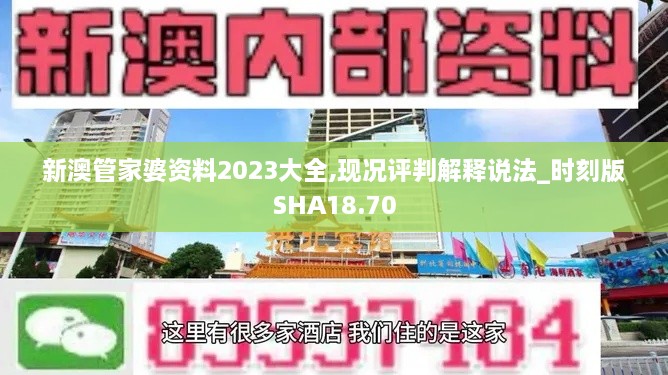 新澳管家婆资料2023大全,现况评判解释说法_时刻版SHA18.70