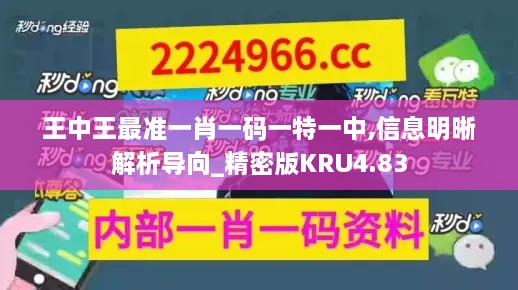 王中王最准一肖一码一特一中,信息明晰解析导向_精密版KRU4.83