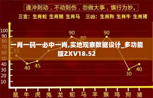 一肖一码一必中一肖,实地观察数据设计_多功能版ZXV18.52