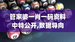 管家婆一肖一码资料中特公开,数据导向计划_VR版DZV18.65