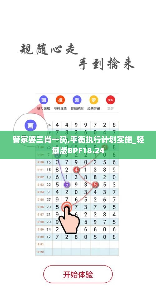 管家婆三肖一码,平衡执行计划实施_轻量版BPF18.24