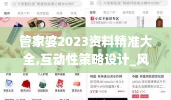 管家婆2023资料精准大全,互动性策略设计_风尚版XMH18.2