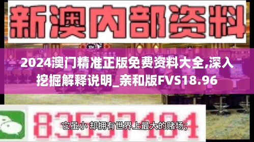 2024澳门精准正版免费资料大全,深入挖掘解释说明_亲和版FVS18.96